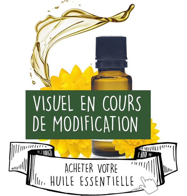 Huile Essentielle de Camomille Allemande (ou Camomille Matricaire): le Guide Complet - Olyaris